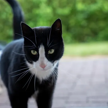 Apartman Kruse Nr 7 Grömitz